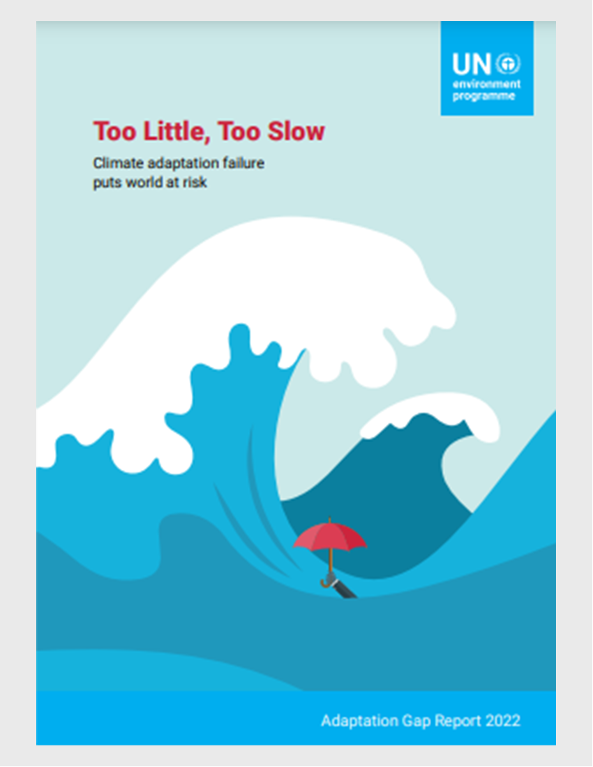 Too Little, Too Slow: Adaptation Gap Report 2022